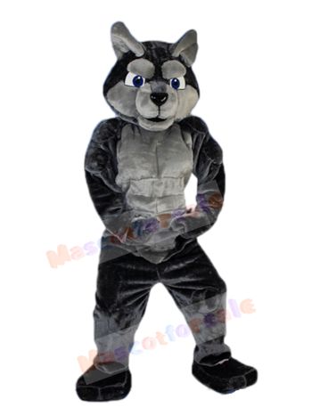 wolf mascot costume