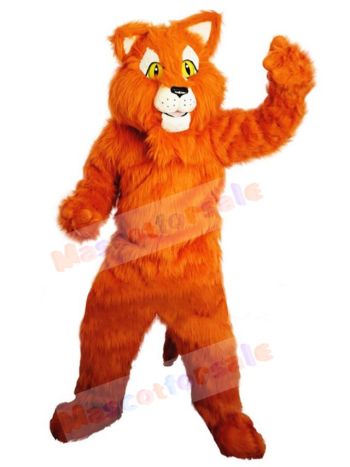 Tiger mascot costume