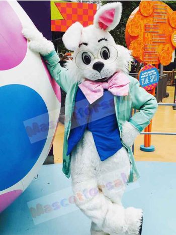 Wendell Rabbit mascot costume