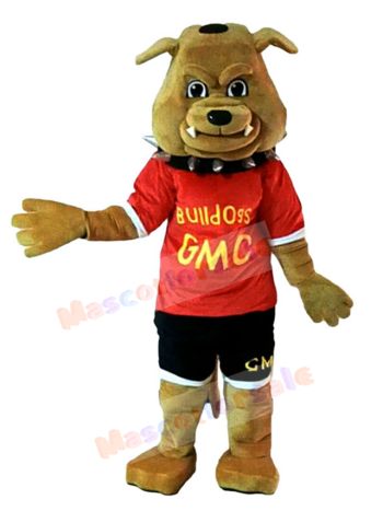 dog mascot costume