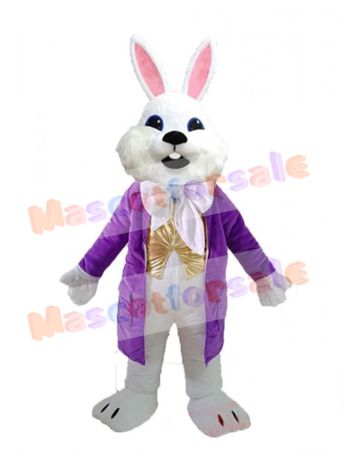 Easter Bunny Rabbit mascot costume