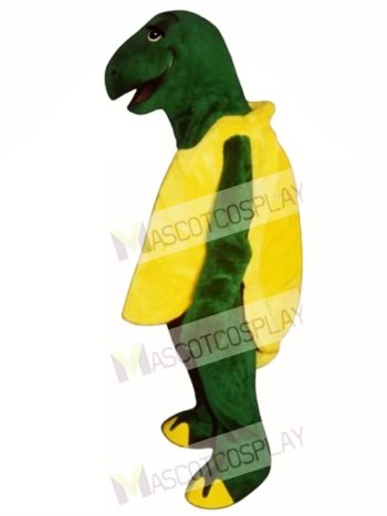 Tortoise Mascot Costume
