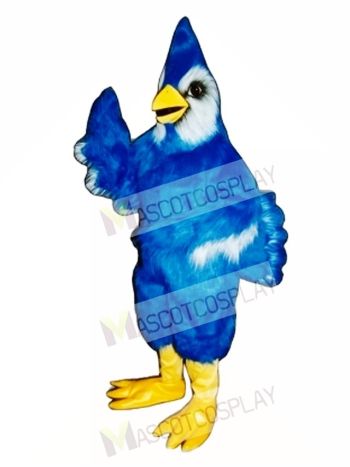 New Blue Jay Mascot Costume