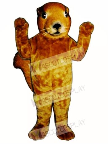Realistic Squirrel Mascot Costume