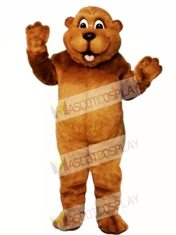 Woody Woodchuck Mascot Costume