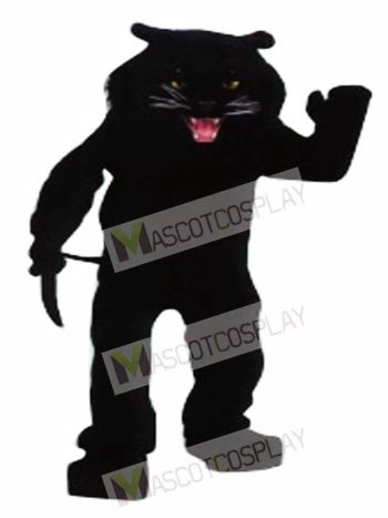 Black Panther Mascot Costume