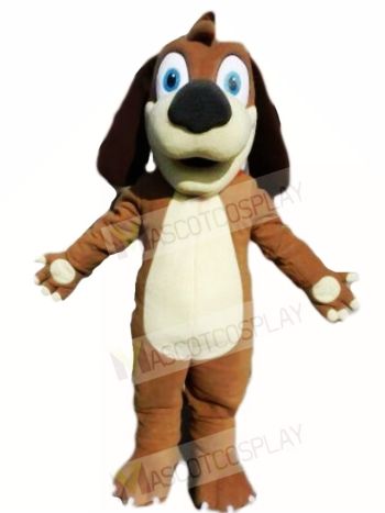 Brown Puppy Dog Animal 