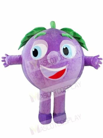 Purple Grapes Mascot Costumes Fruit Plant