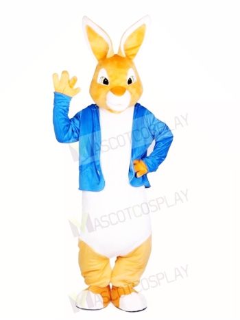 Peter Rabbit Easter Bunny Mascot Costumes Cartoon