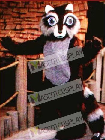 Cute Raccoon Mascot Costume