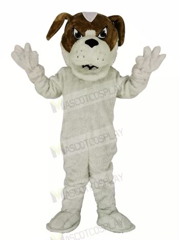 Saint Bernard Dog Mascot Costume Cartoon