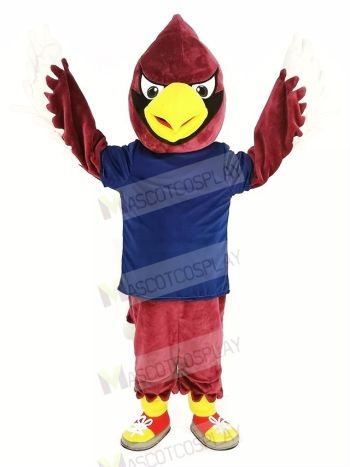 Red Cardinal Bird in Dark Blue Shirt Mascot Costume