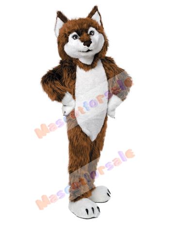 Wolf mascot costume