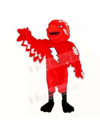 St John Thunderbird Mascot Costumes School