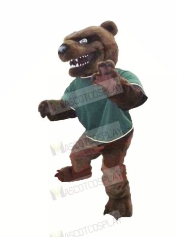 Fierce Brown Bear Mascot Costumes Cartoon