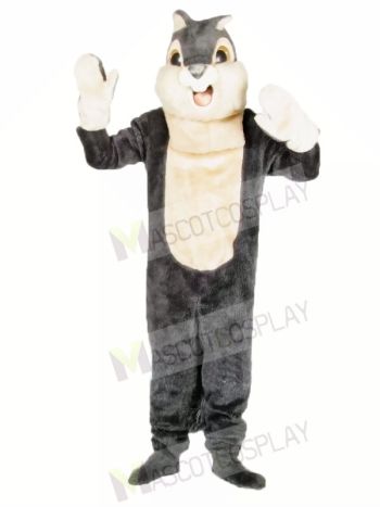 Cute Grey Squirrel Mascot Costumes 