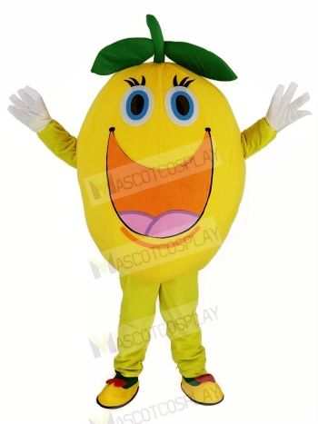 Cute Round Orange Mascot Costume
