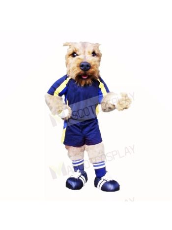 Football Dog With Blue T-shirt Mascot Costumes School