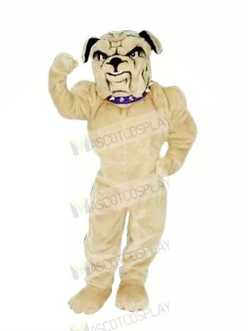 Realistic Bulldog Mascot Costumes Cartoon