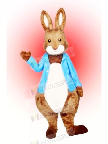 Peter Rabbit Mascot Costume Cartoon