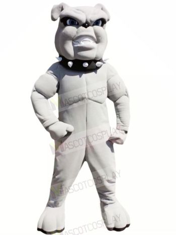 Lightweight Grey Bulldog Mascot Costumes Adult	