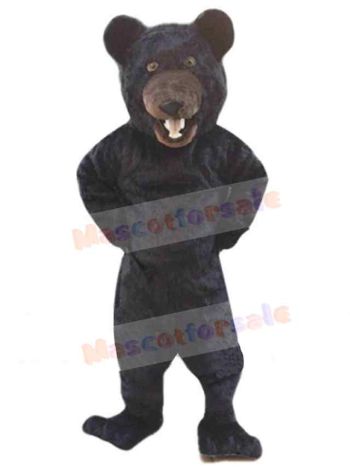 Bear mascot costume