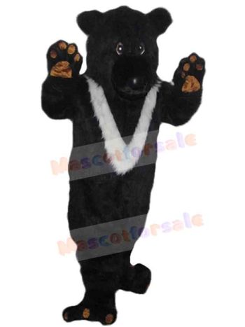 Bear mascot costume