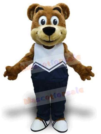 Bear mascot costume