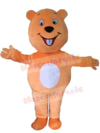 Bear mascot costume
