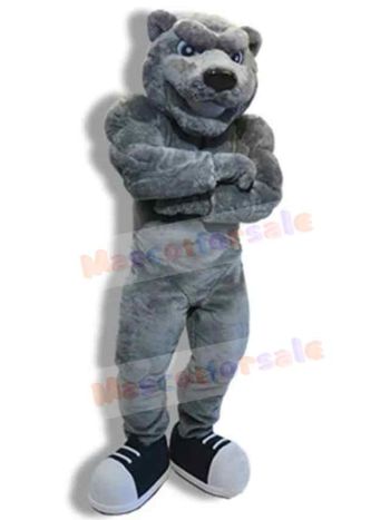 Bear mascot costume