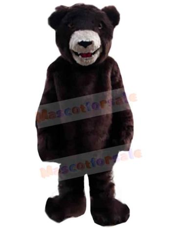 Bear mascot costume