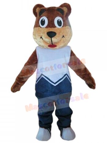 Bear mascot costume