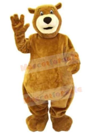 Bear mascot costume