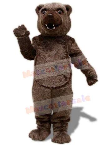 Bear mascot costume
