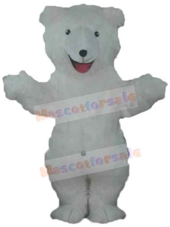 Bear mascot costume
