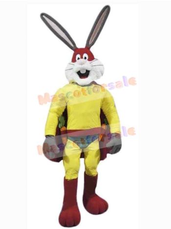 Easter Bunny Rabbit mascot costume