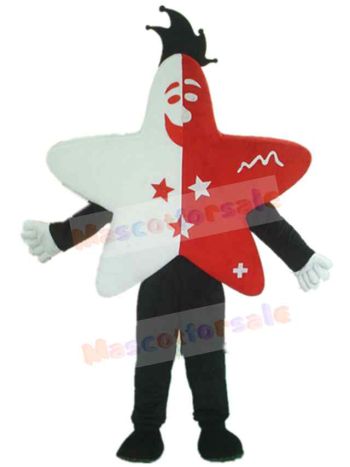 Star mascot costume