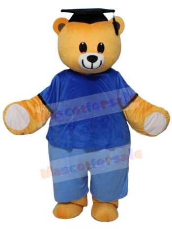 Bear mascot costume