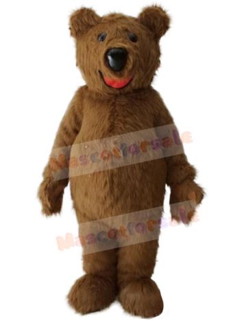 Bear mascot costume