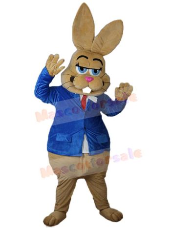 Bunny mascot costume