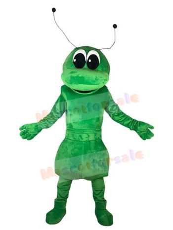 Ant mascot costume