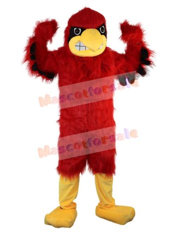 Eagle mascot costume