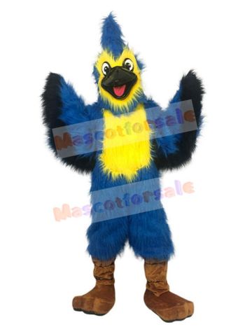 Eagle mascot costume