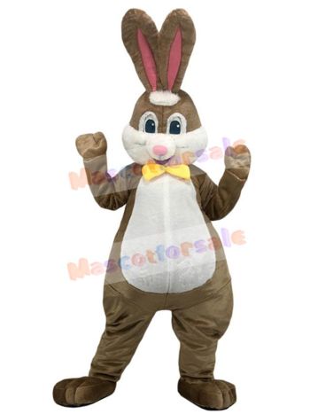 Rabbit mascot costume