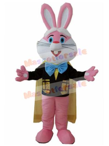 Rabbit mascot costume
