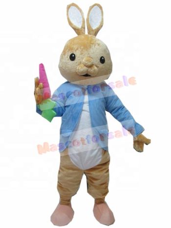 Rabbit mascot costume