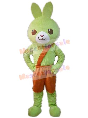 Rabbit mascot costume
