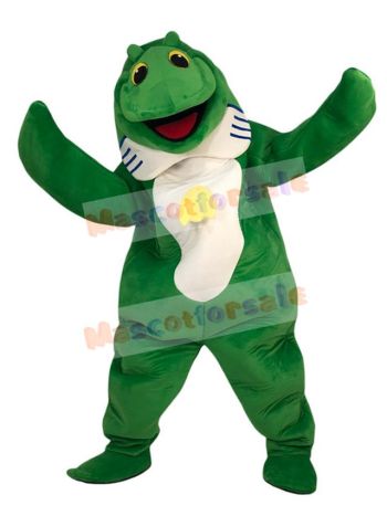Fish mascot costume