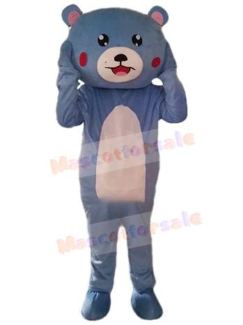 Bear mascot costume