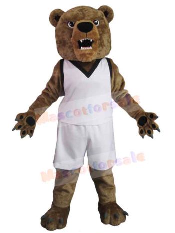 Bear mascot costume